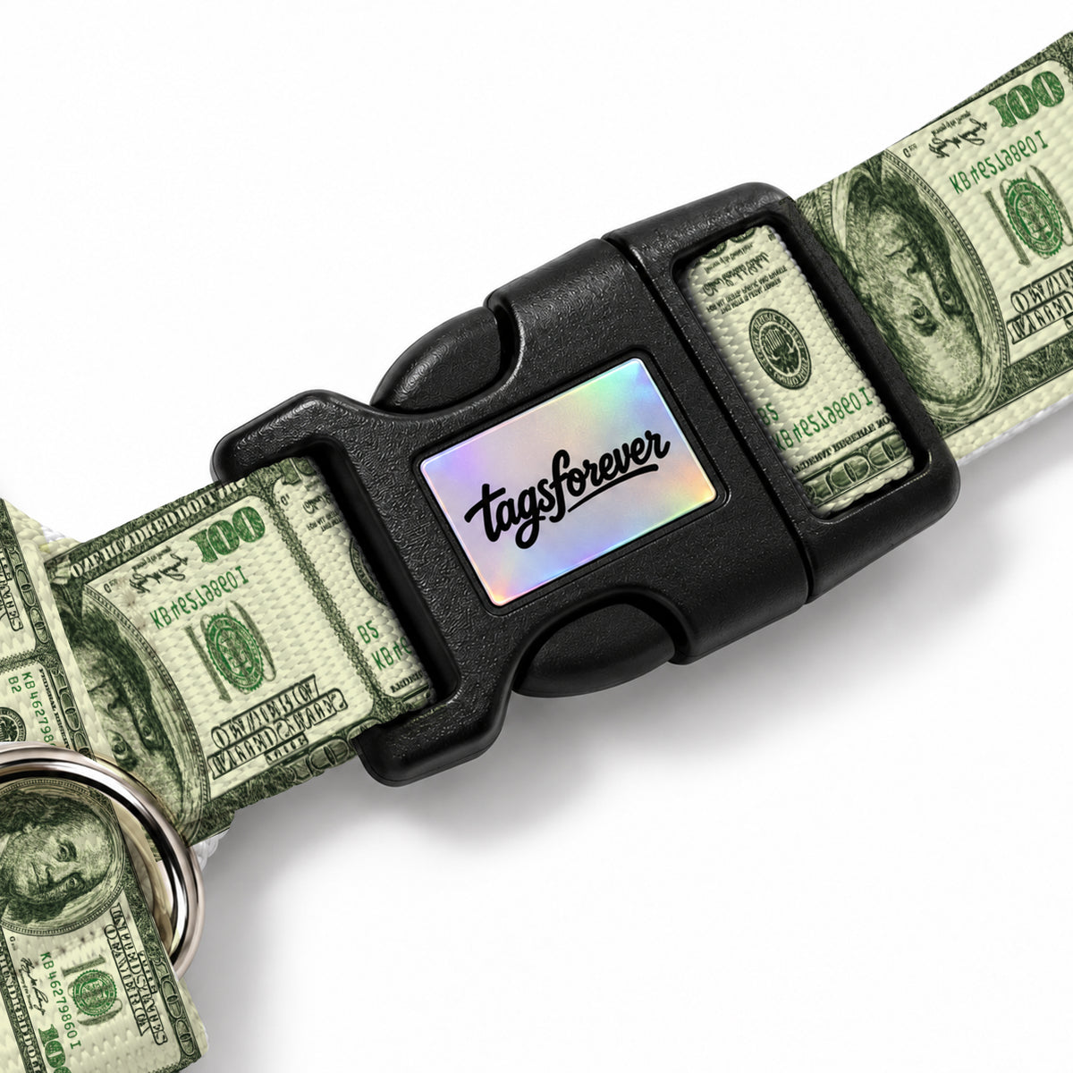 Dollar Pop Köpek Göğüs Tasması – Klips