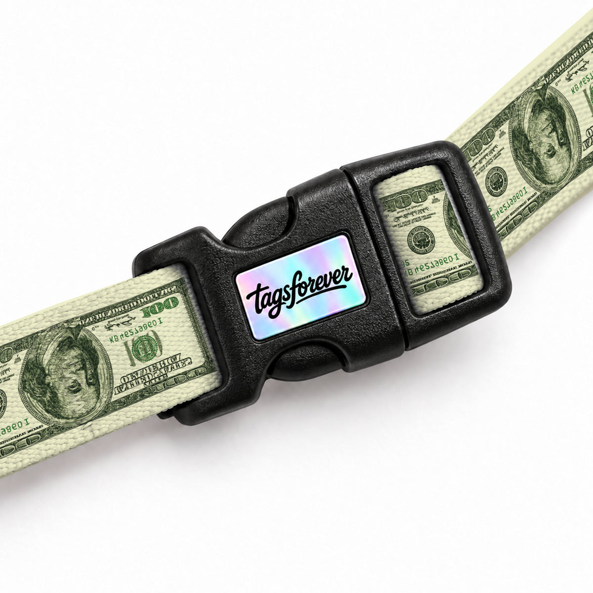 Dollar Pop Kedi Göğüs Tasması – Klips