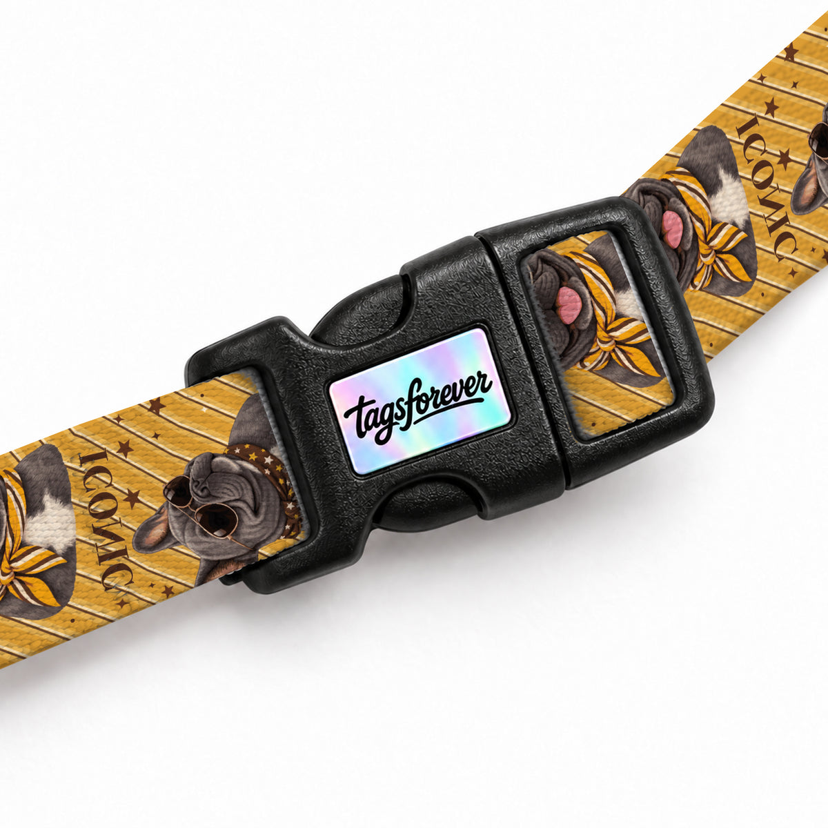 Frenchie Stripe Kedi Göğüs Tasması – Klips