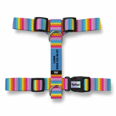 Rainbow Loop Köpek Göğüs Tasması – Urun