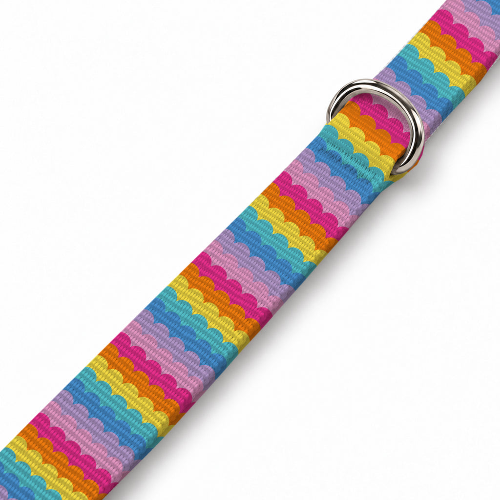 Rainbow Loop Köpek Göğüs Tasması – Yakin Cekim