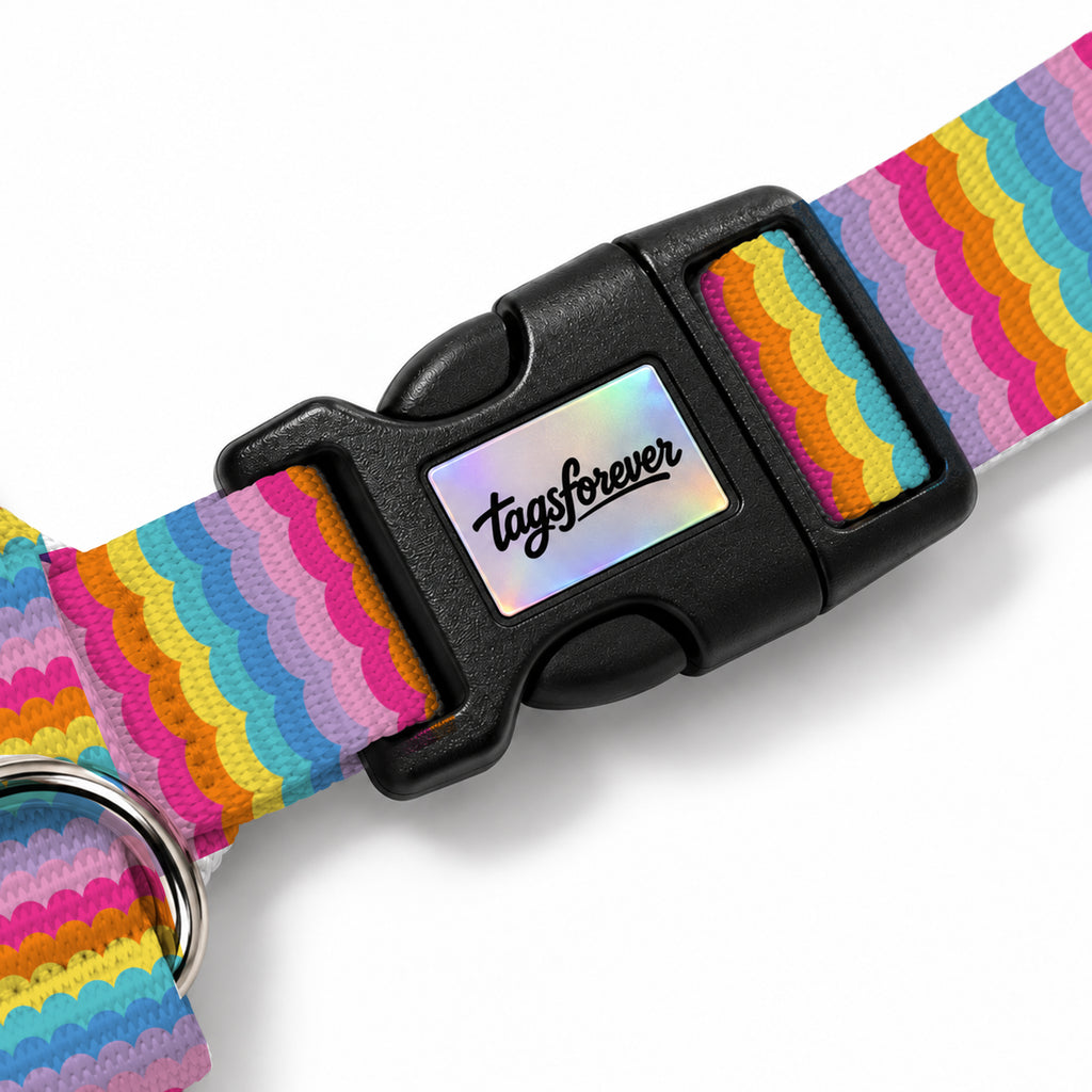 Rainbow Loop Köpek Göğüs Tasması – Klips