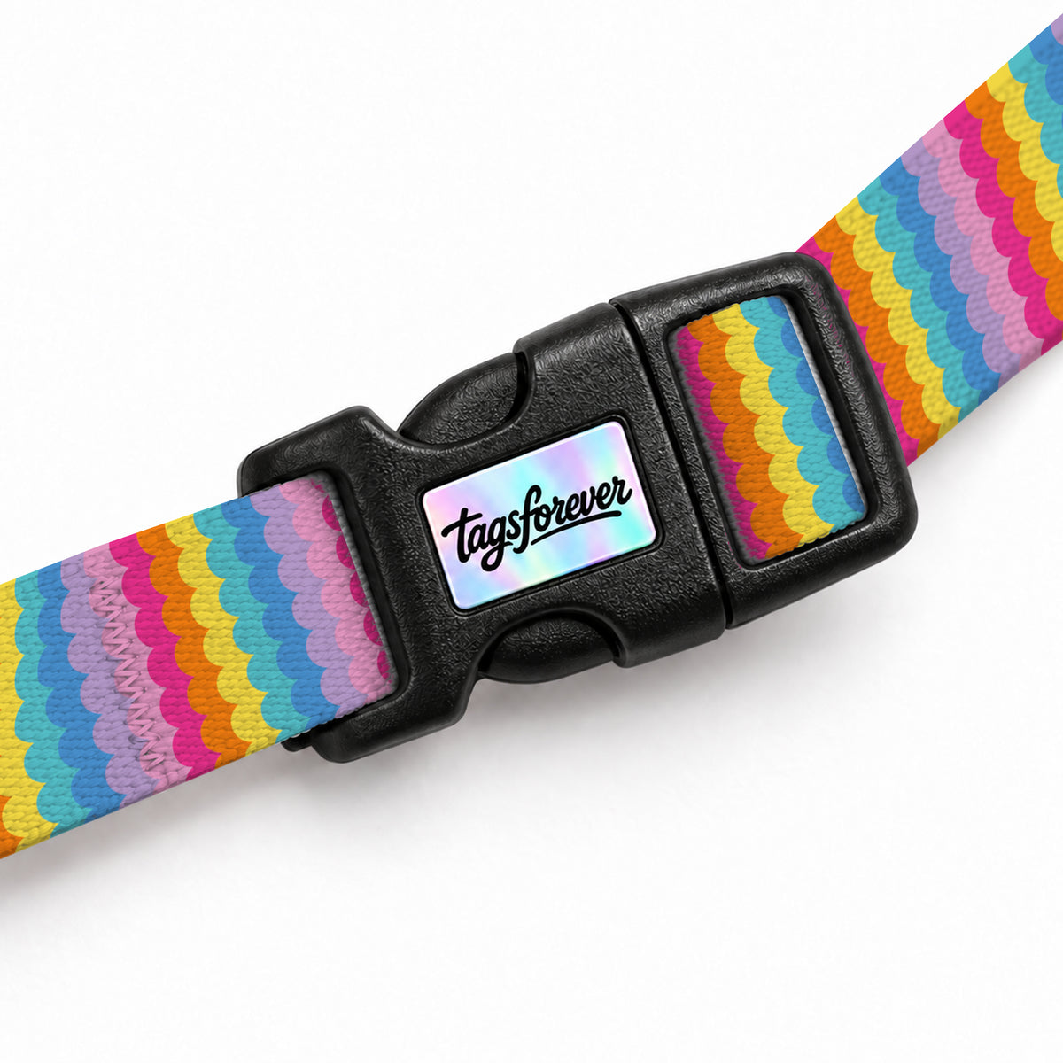 Rainbow Loop Kedi Göğüs Tasması – Klips