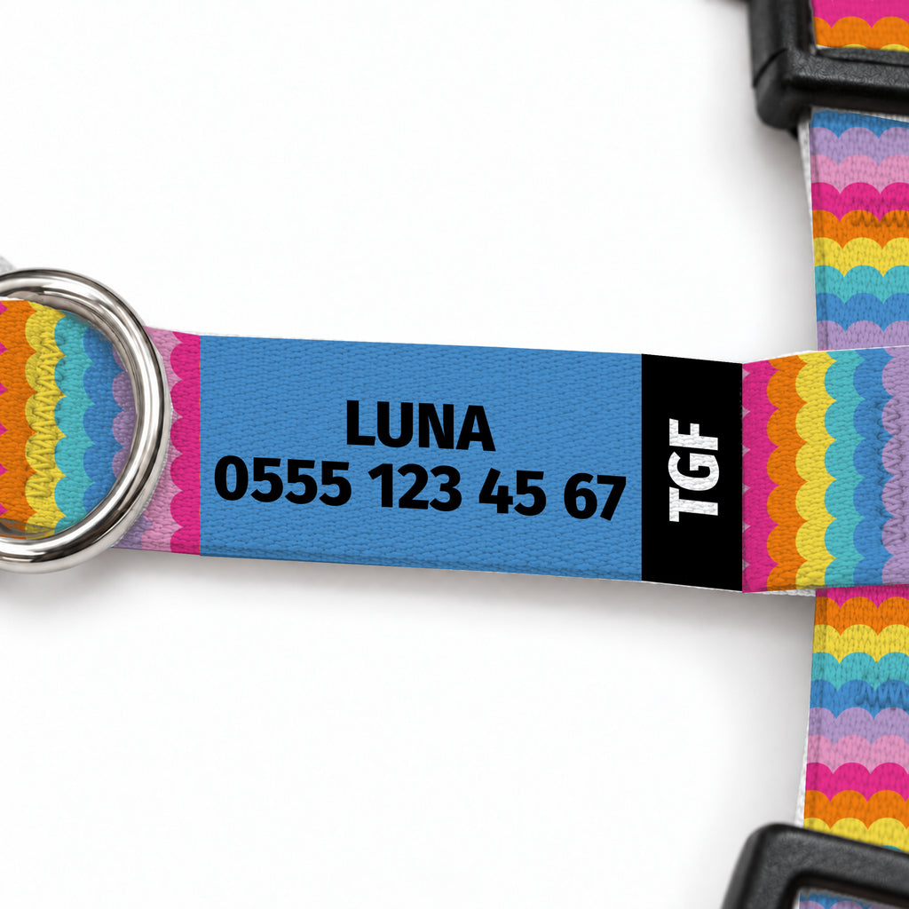 Rainbow Loop Kedi Göğüs Tasması – Yazi Detayi