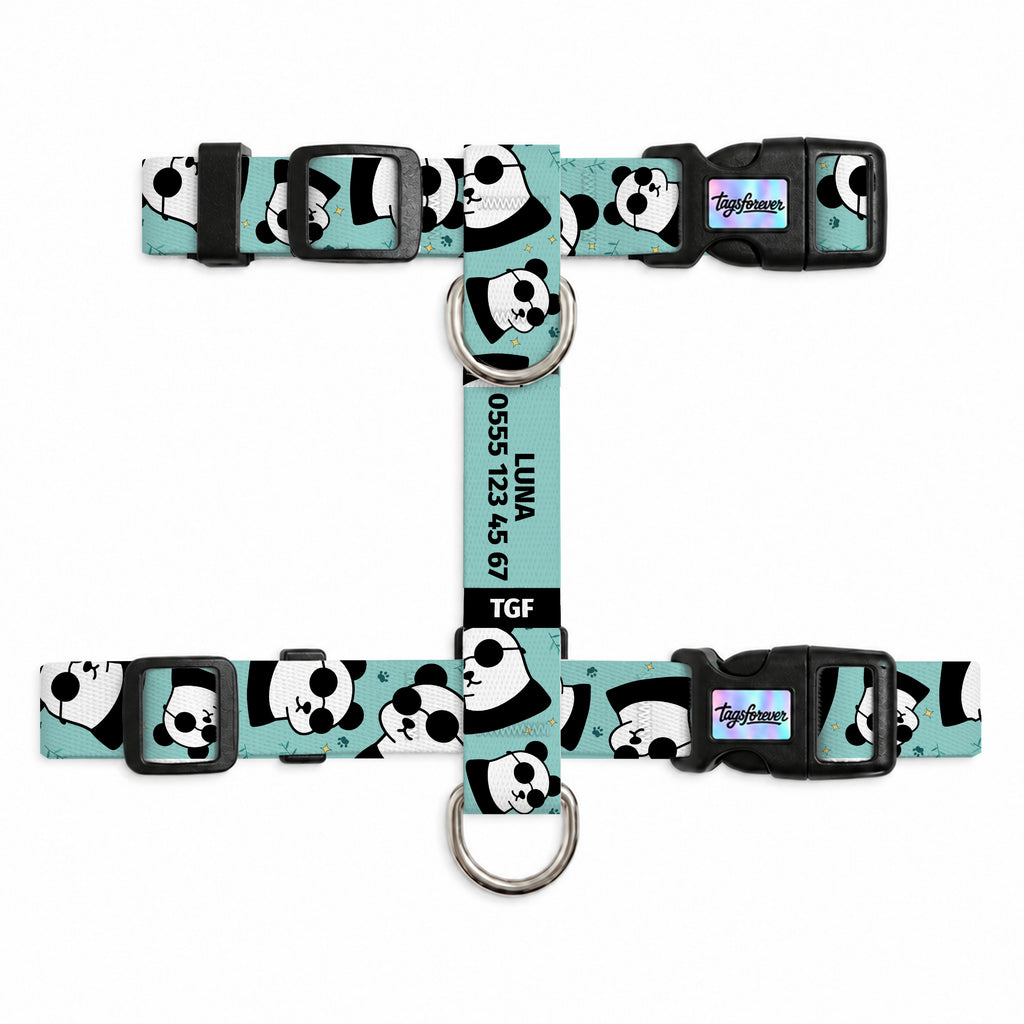 Pandi Aqua Kedi Göğüs Tasması – Urun