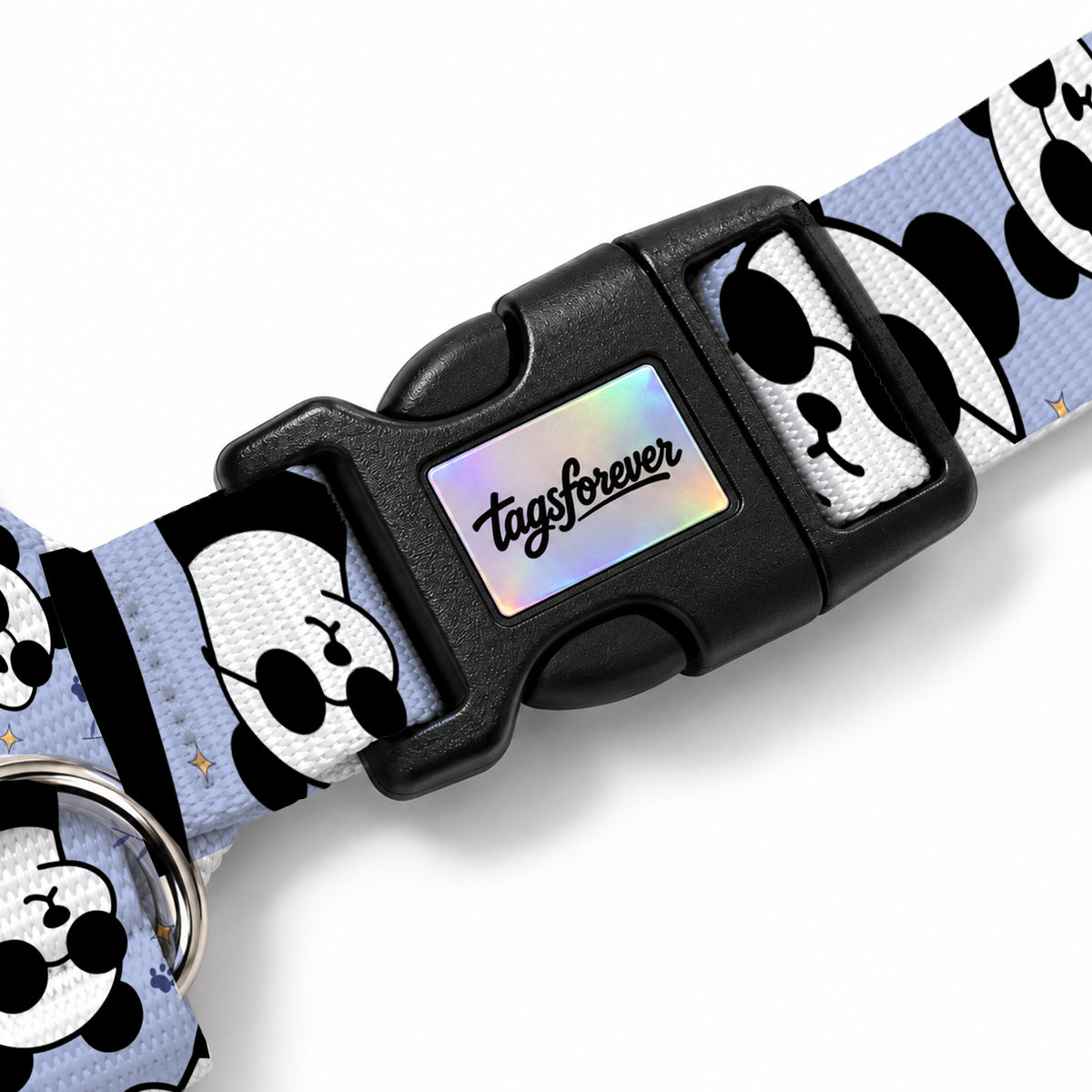 Pandi Purple Köpek Göğüs Tasması – Klips