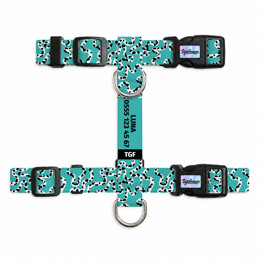 Moo Aqua Kedi Göğüs Tasması – Urun