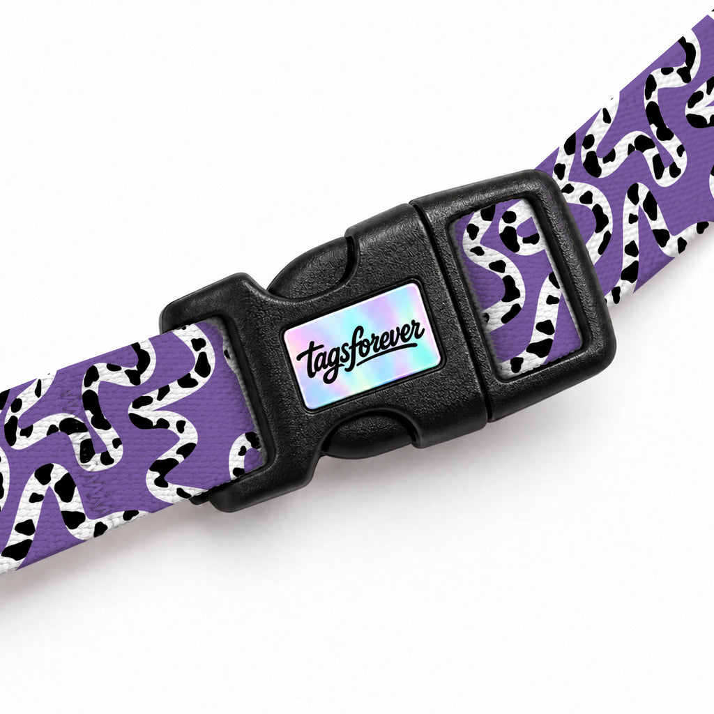 Moo Violet Kedi Göğüs Tasması – Klips