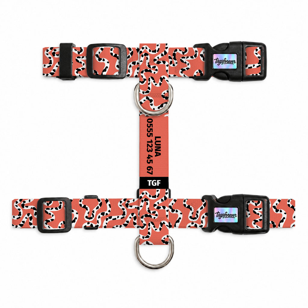 Moo Coral Kedi Göğüs Tasması – Urun
