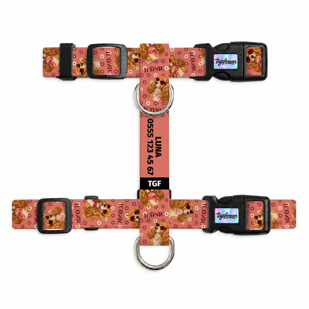 Cocker Bloom Kedi Göğüs Tasması – Urun