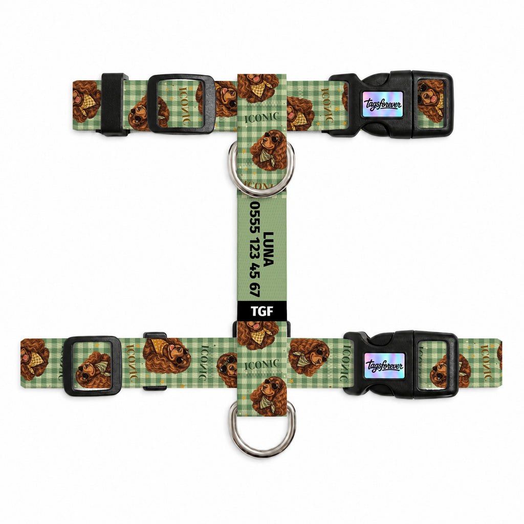 Cocker Check Kedi Göğüs Tasması – Urun