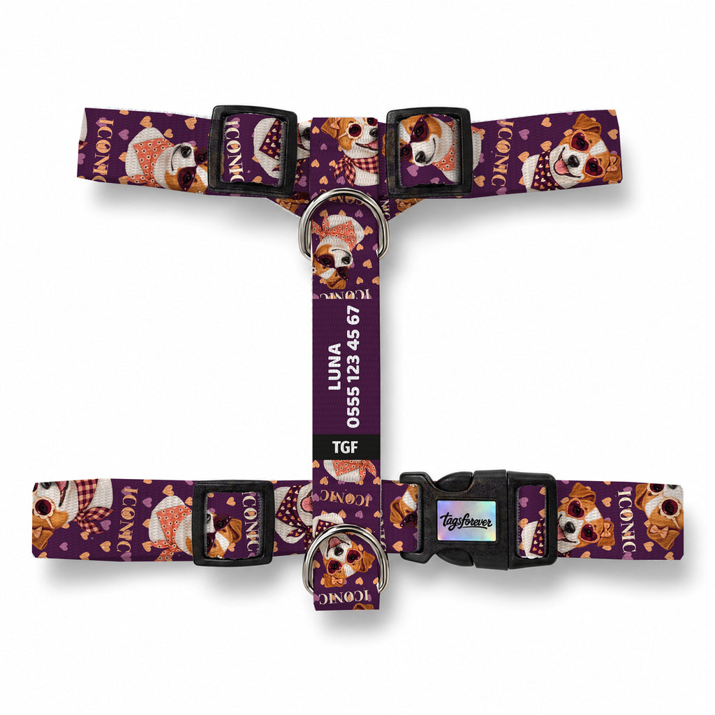 Jack Love Köpek Göğüs Tasması – Urun