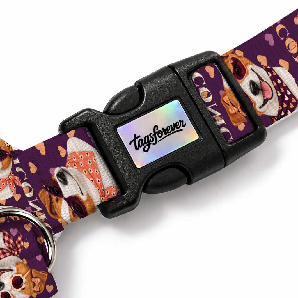 Jack Love Köpek Göğüs Tasması – Klips