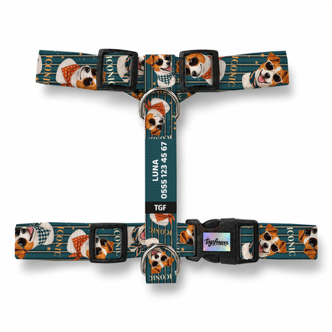 Jack Stripe Köpek Göğüs Tasması – Urun