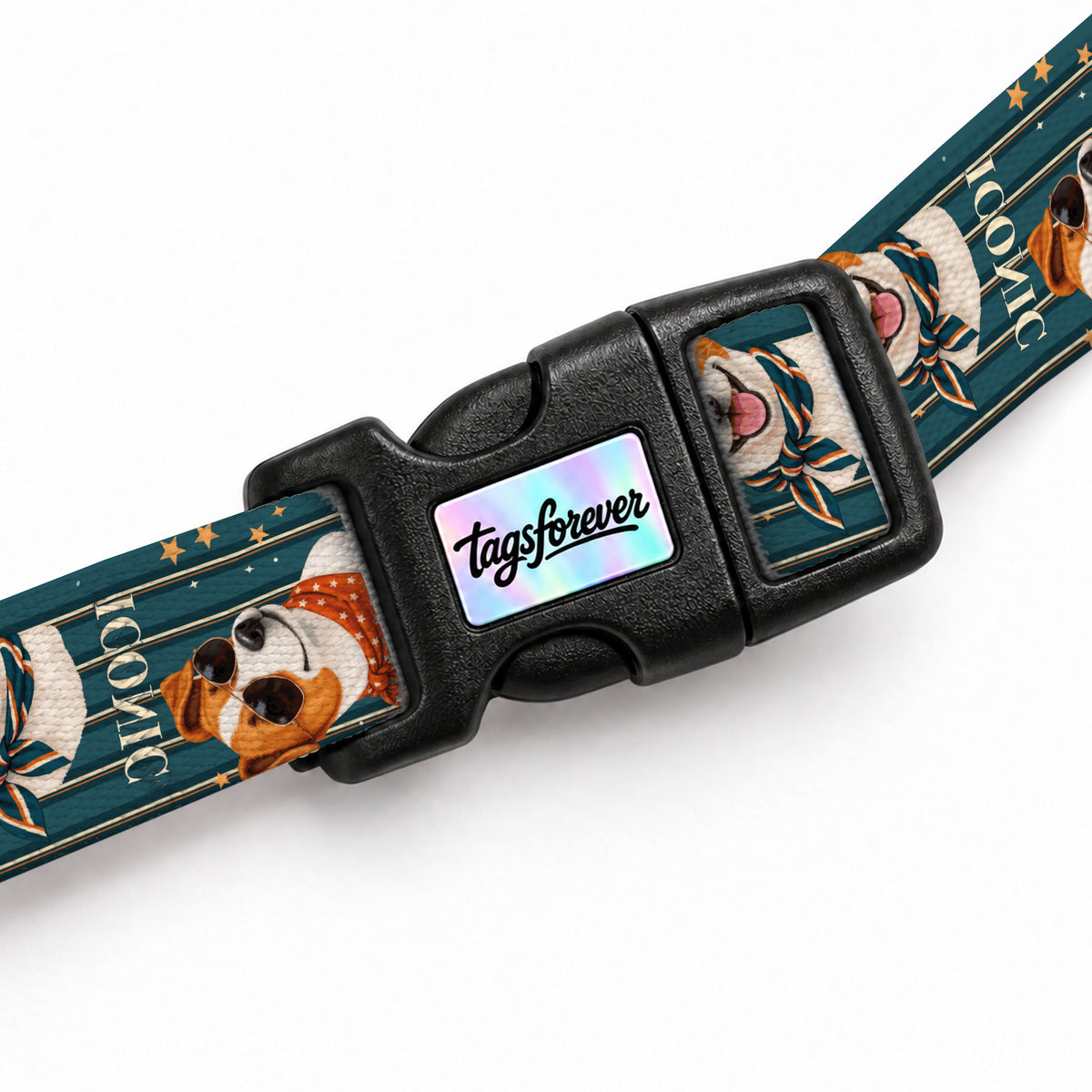 Jack Stripe Kedi Göğüs Tasması – Klips