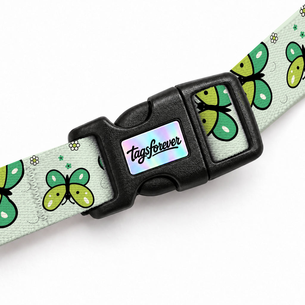 Flora Lime Kedi Göğüs Tasması – Klips