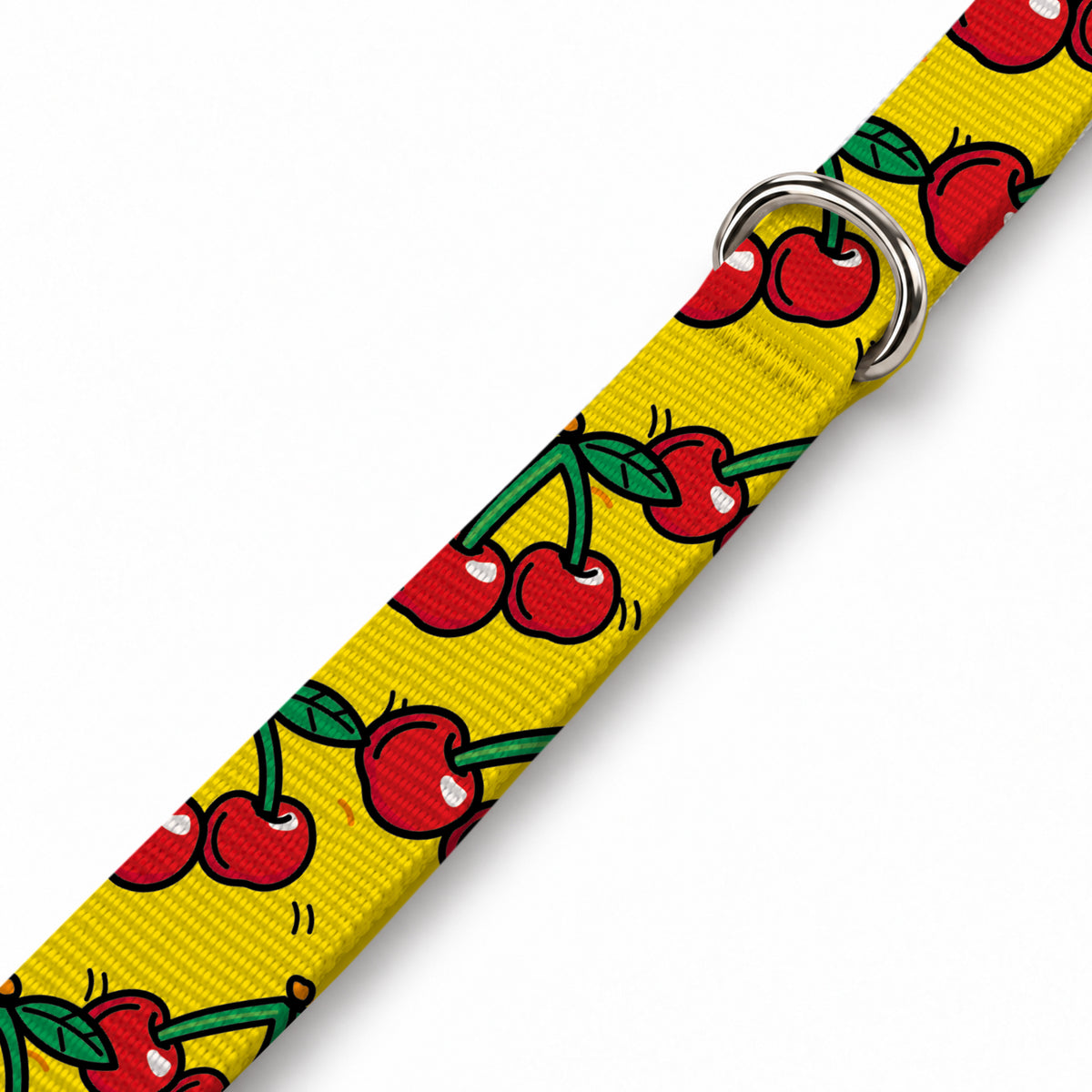 Cherry Pop Köpek Göğüs Tasması – Yakin Cekim