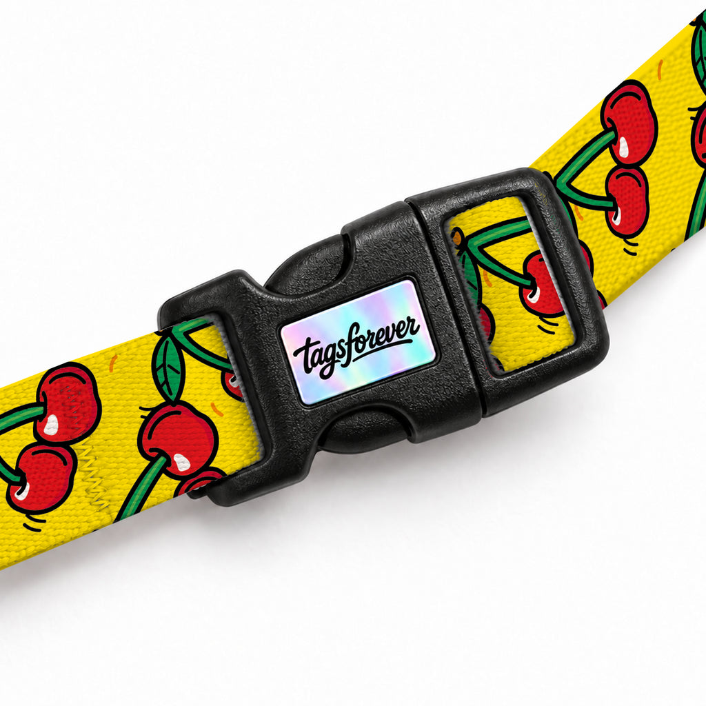 Cherry Pop Kedi Göğüs Tasması – Klips
