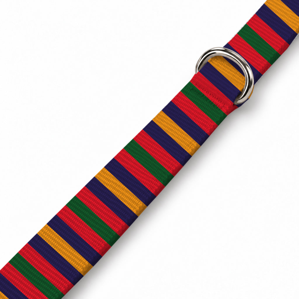 Color Stripe Köpek Göğüs Tasması – Yakin Cekim