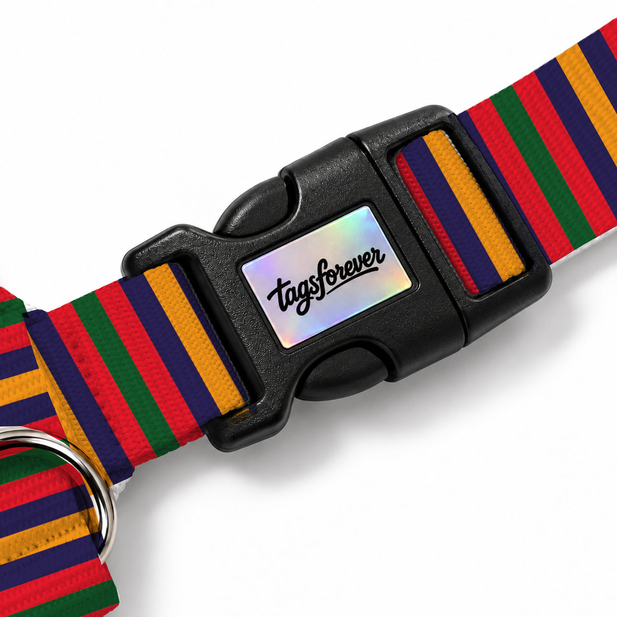 Color Stripe Köpek Göğüs Tasması – Klips