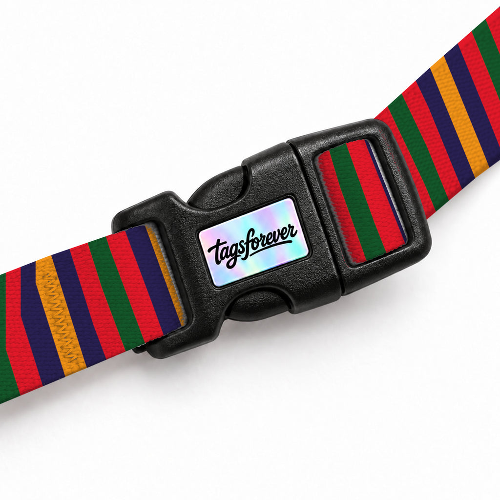 Color Stripe Kedi Göğüs Tasması – Klips