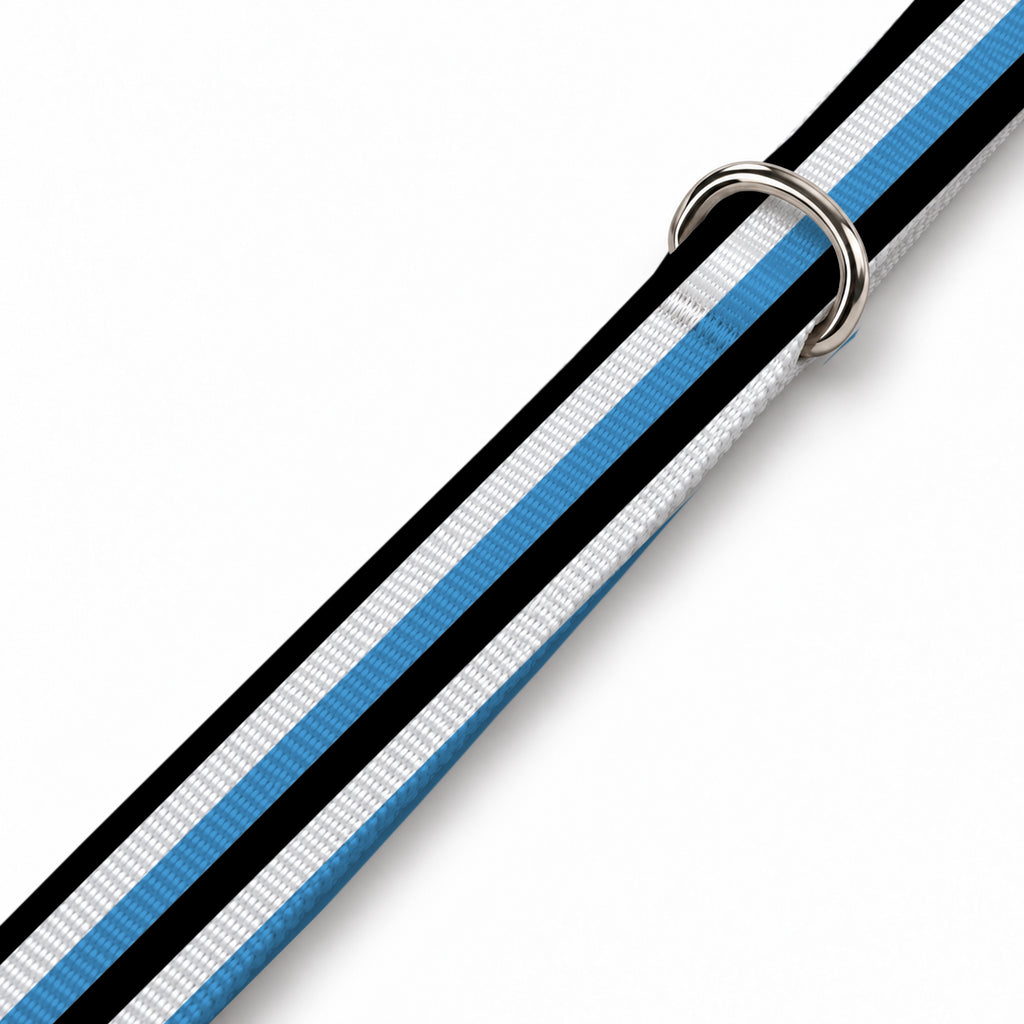 City Lines Köpek Göğüs Tasması – Yakin Cekim