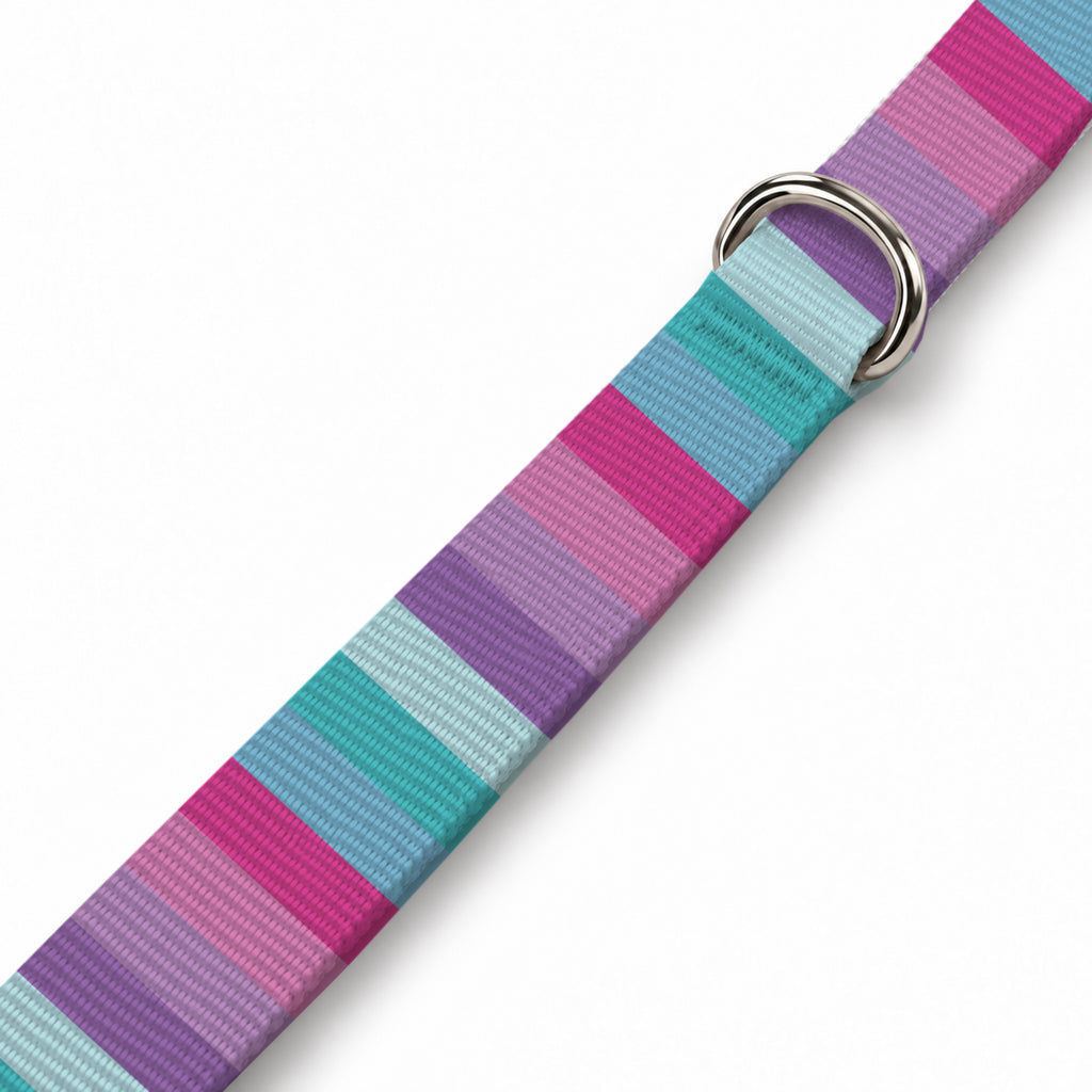 Candy Stripe Köpek Göğüs Tasması – Yakin Cekim