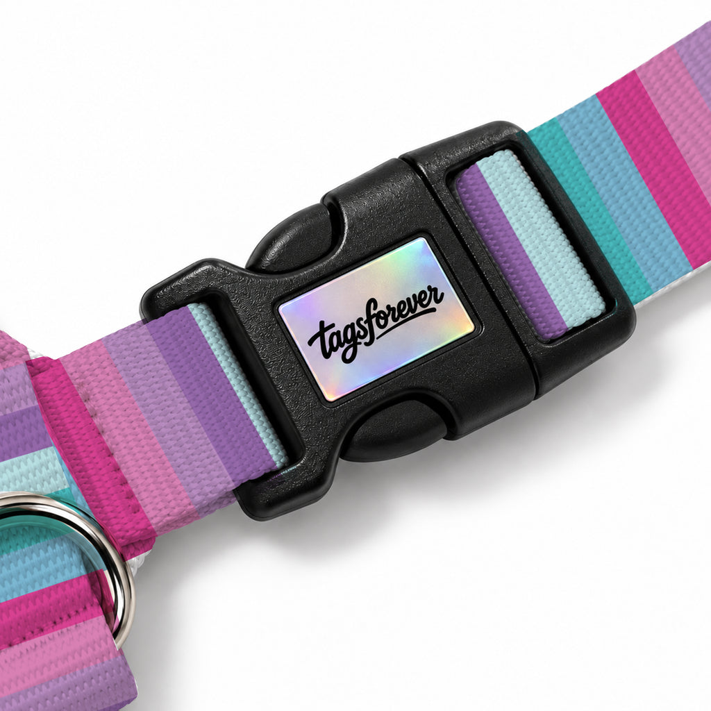 Candy Stripe Köpek Göğüs Tasması – Klips