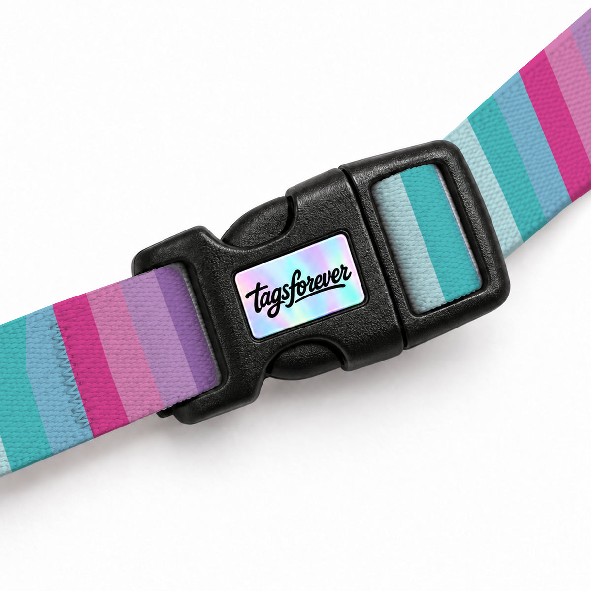 Candy Stripe Kedi Göğüs Tasması – Klips