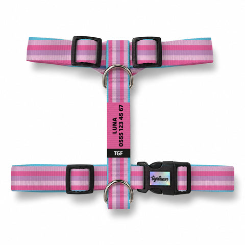 Pastel Stripe Köpek Göğüs Tasması – Urun