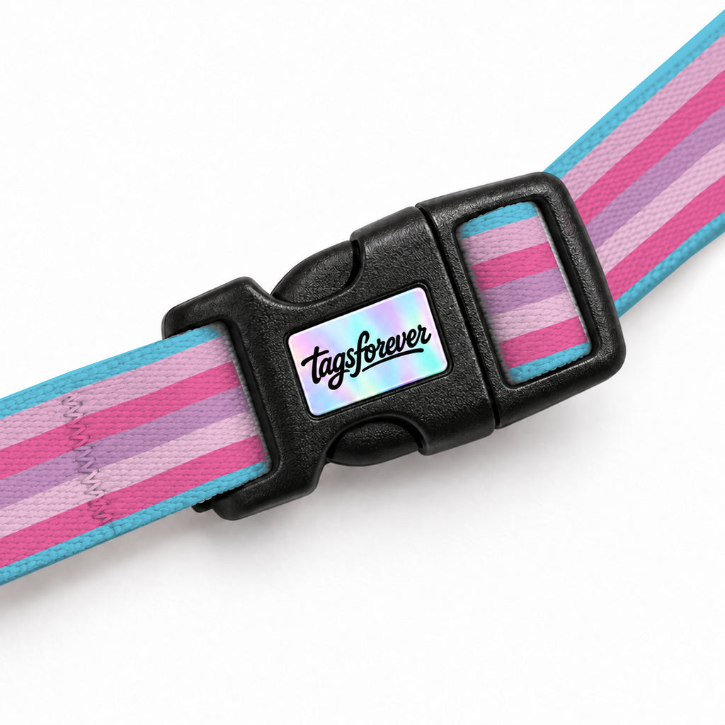 Pastel Stripe Kedi Göğüs Tasması – Klips