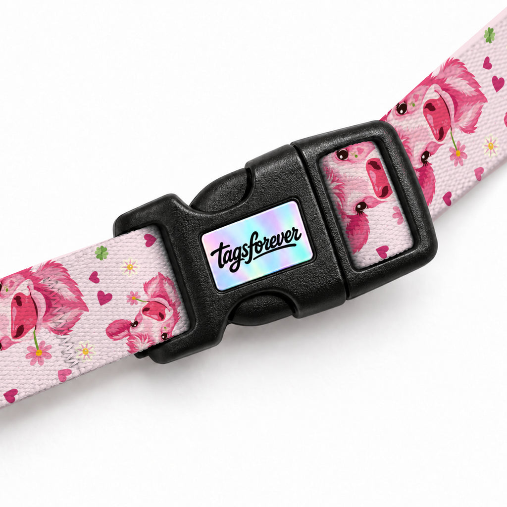 Pink Moo Kedi Göğüs Tasması – Klips