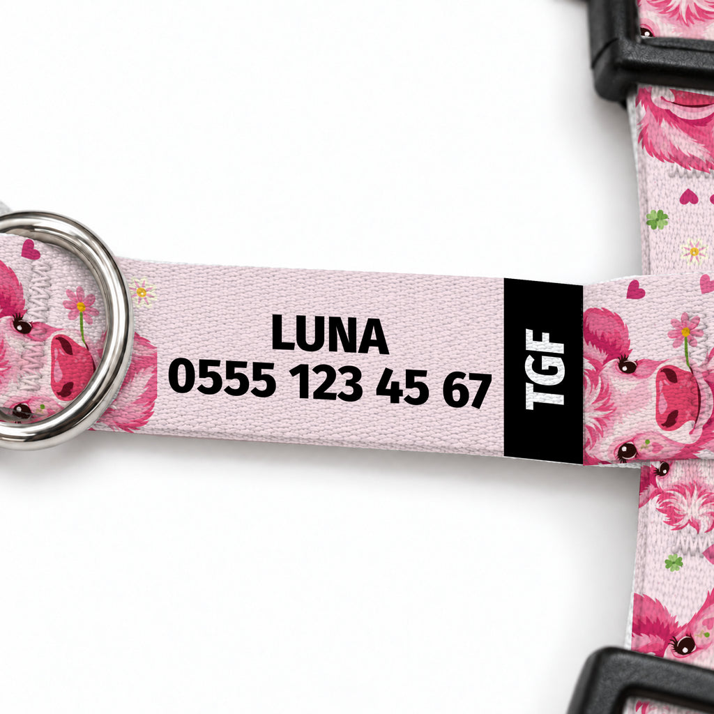 Pink Moo Kedi Göğüs Tasması – Yazi Detayi