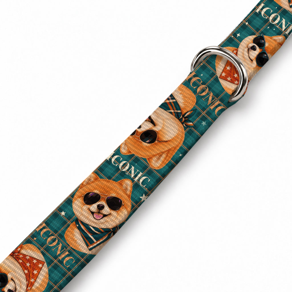 Teddy Check Köpek Göğüs Tasması – Yakin Cekim