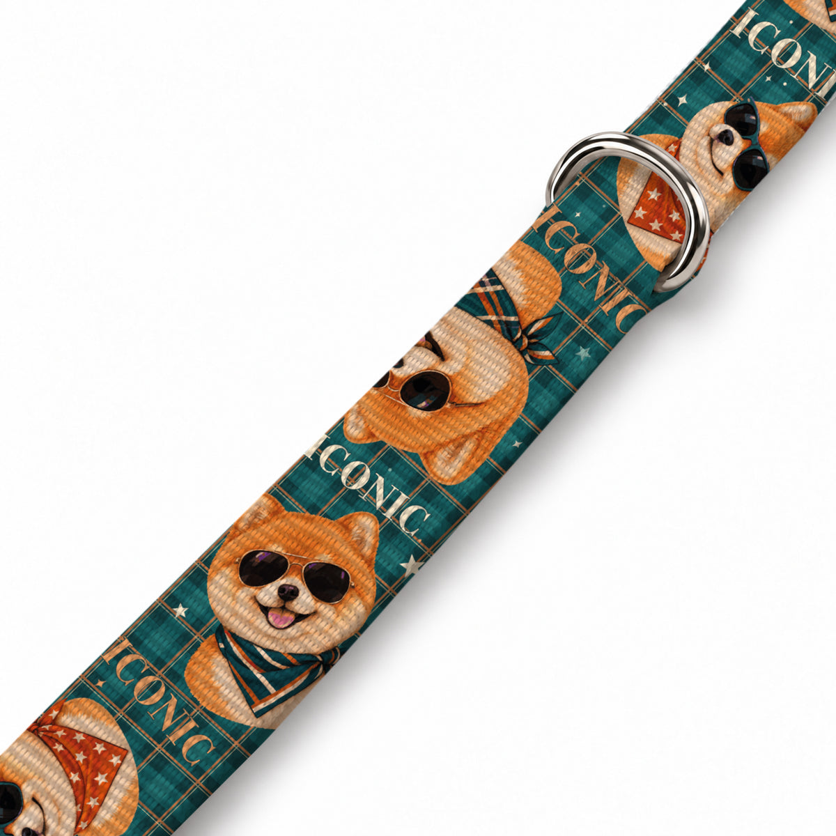 Teddy Check Köpek Göğüs Tasması – Yakin Cekim