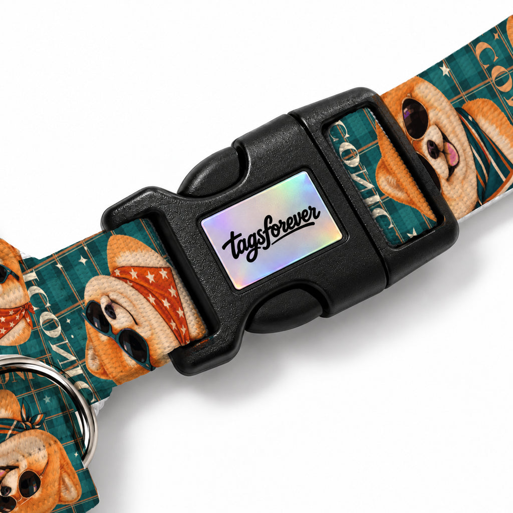 Teddy Check Köpek Göğüs Tasması – Klips