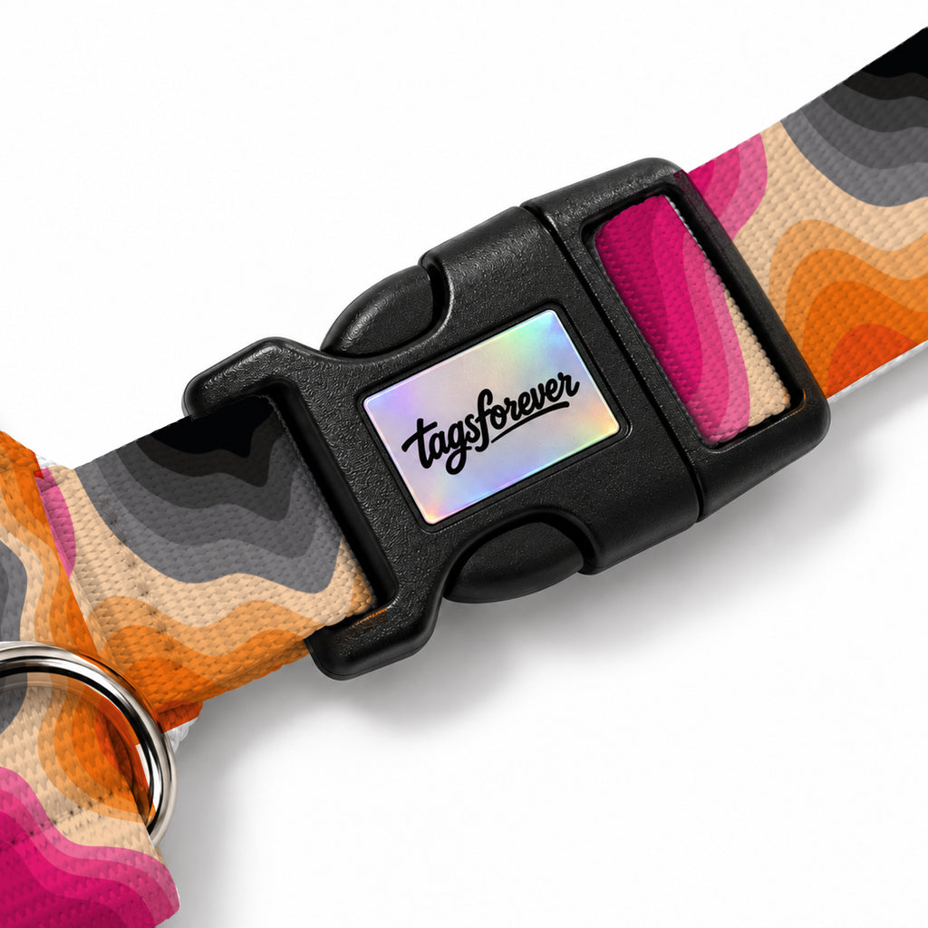 Sunset Wave Köpek Göğüs Tasması – Klips