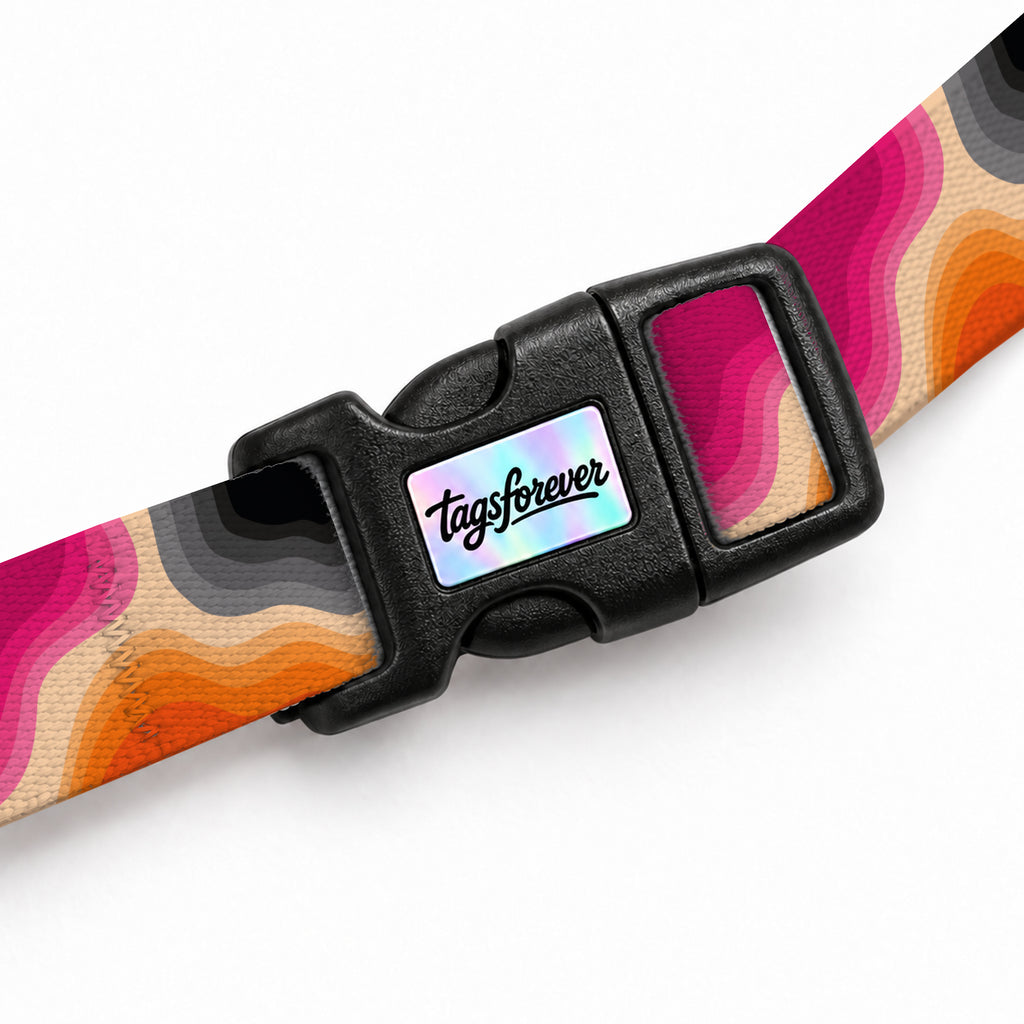 Sunset Wave Kedi Göğüs Tasması – Klips