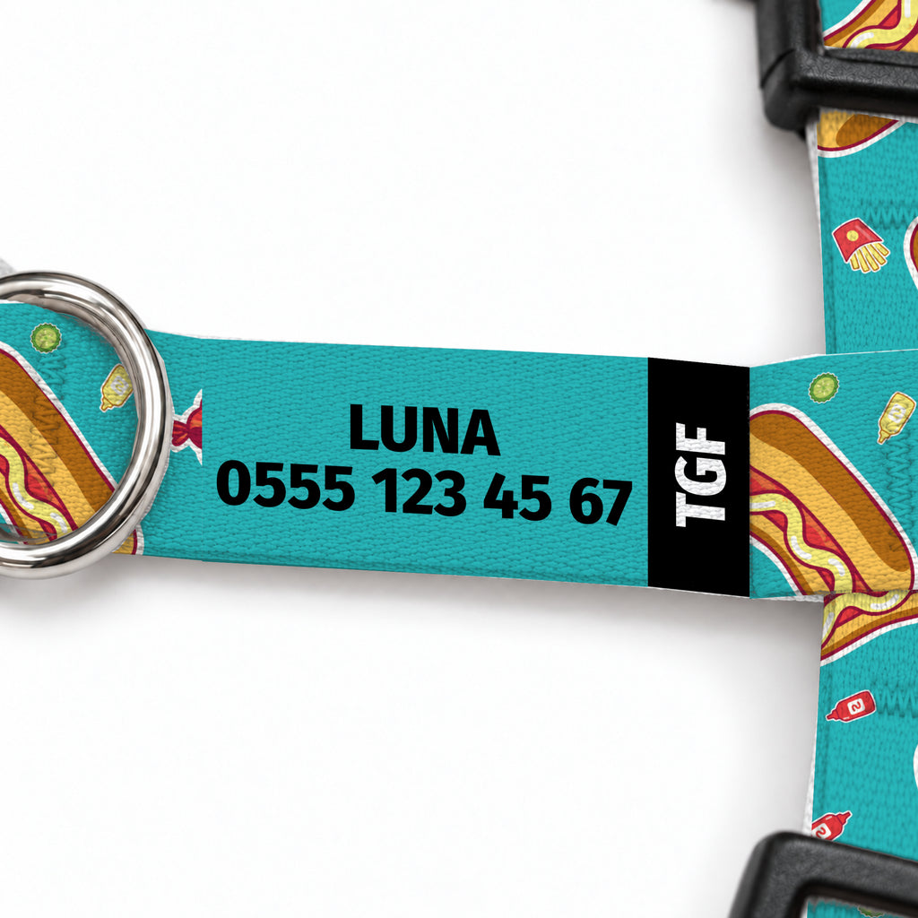 Hotdog Aqua Kedi Göğüs Tasması – Yazi Detayi