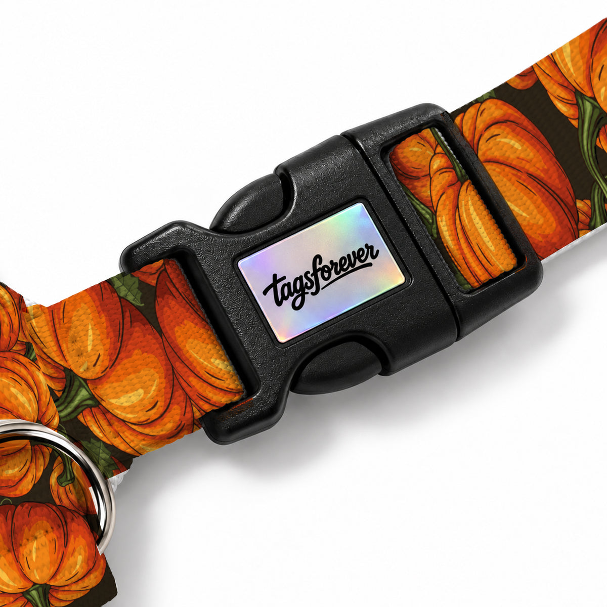 Pumpkin Köpek Göğüs Tasması – Klips