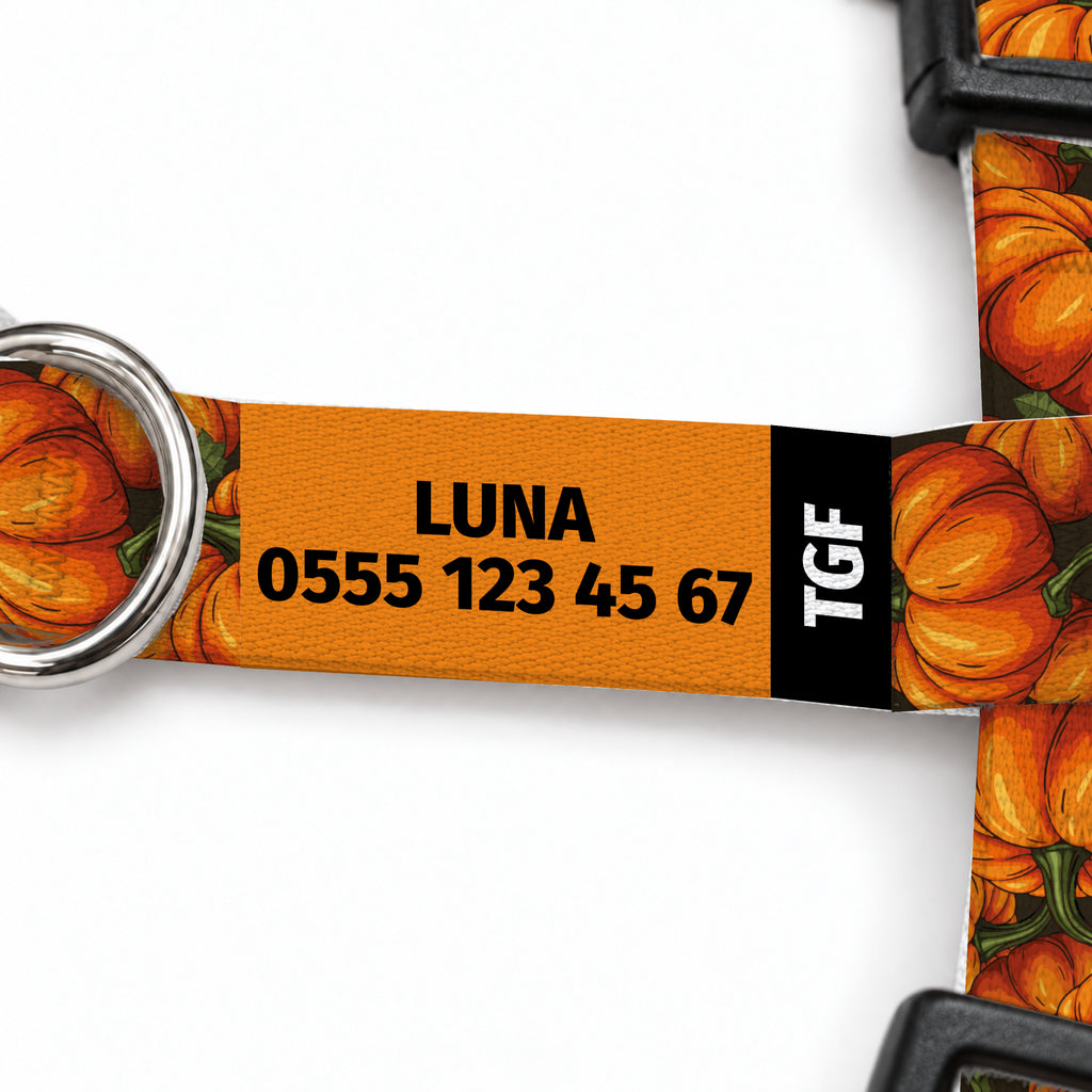 Pumpkin Kedi Göğüs Tasması – Yazi Detayi