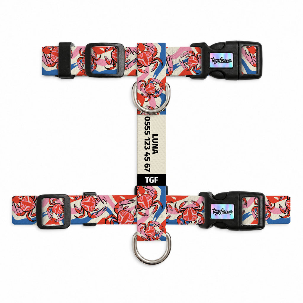 Crab Wave Kedi Göğüs Tasması – Urun