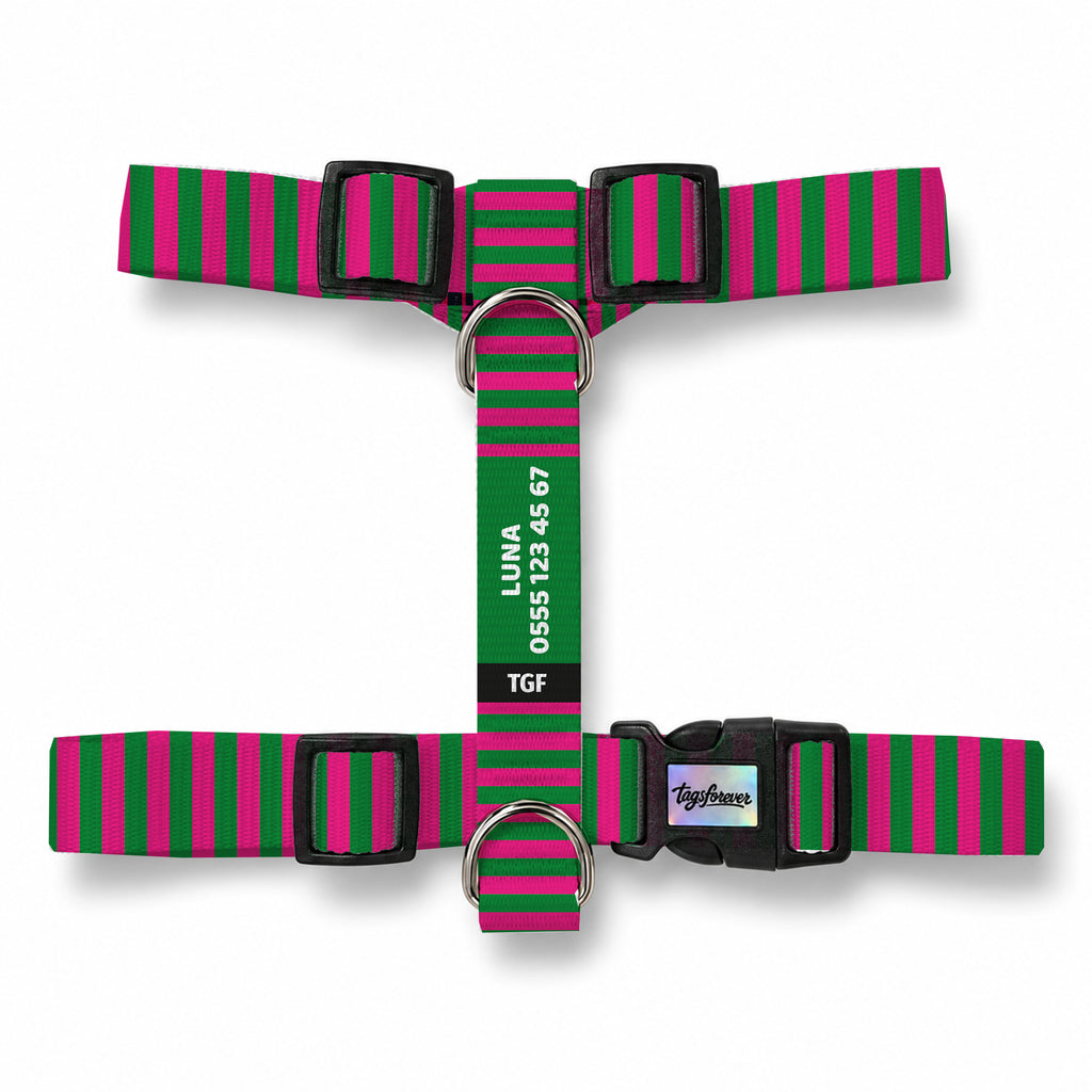 Berry Stripe Köpek Göğüs Tasması – Urun
