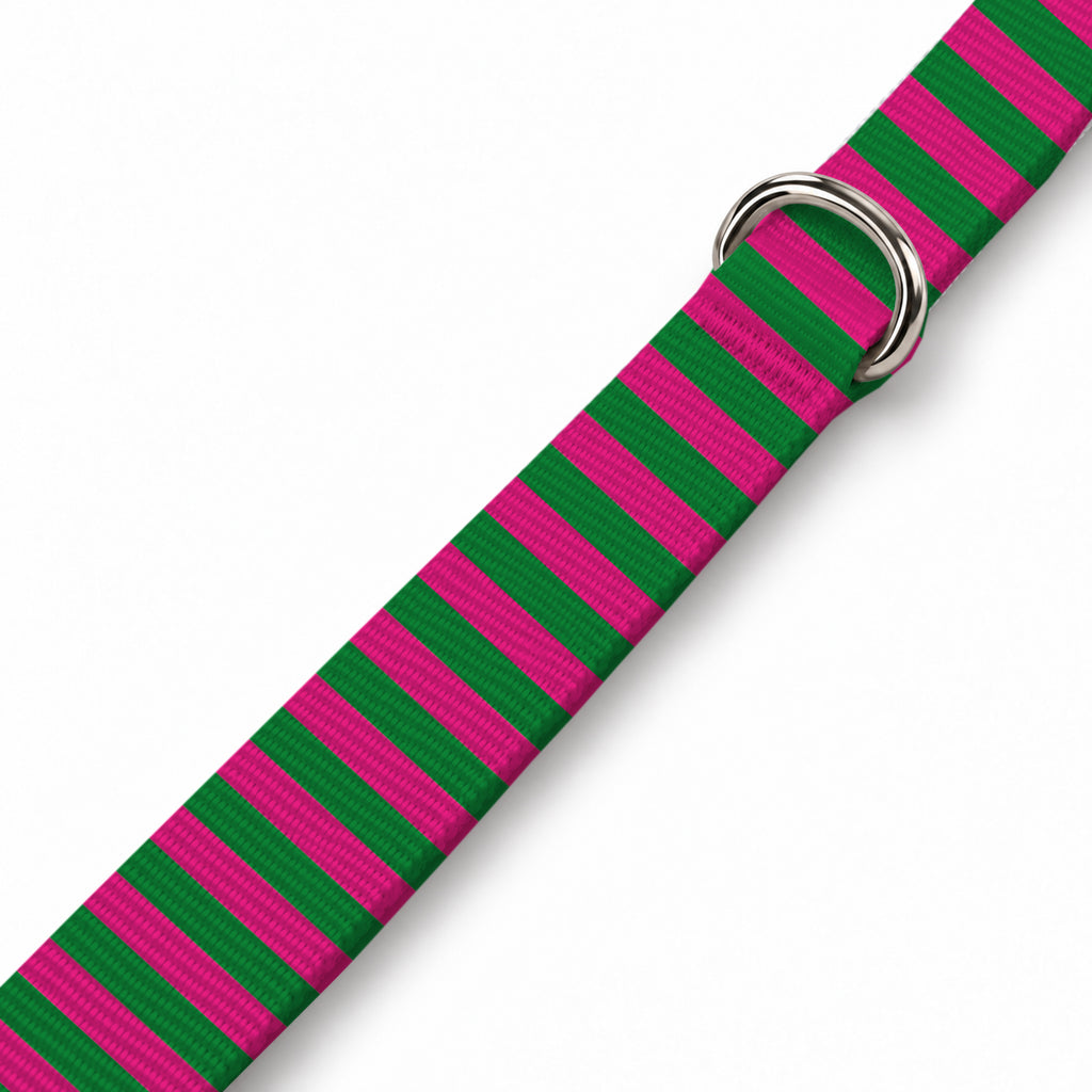 Berry Stripe Köpek Göğüs Tasması – Yakin Cekim