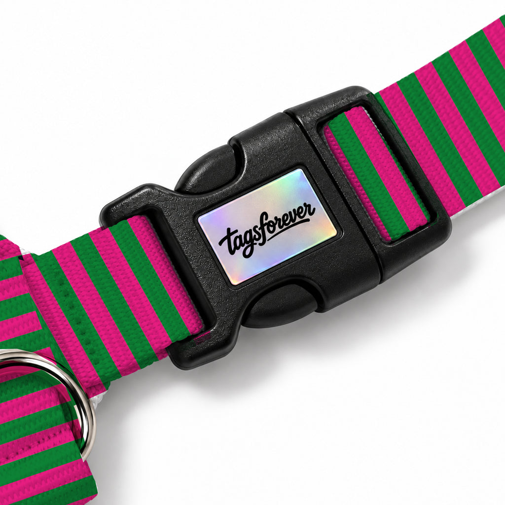 Berry Stripe Köpek Göğüs Tasması – Klips