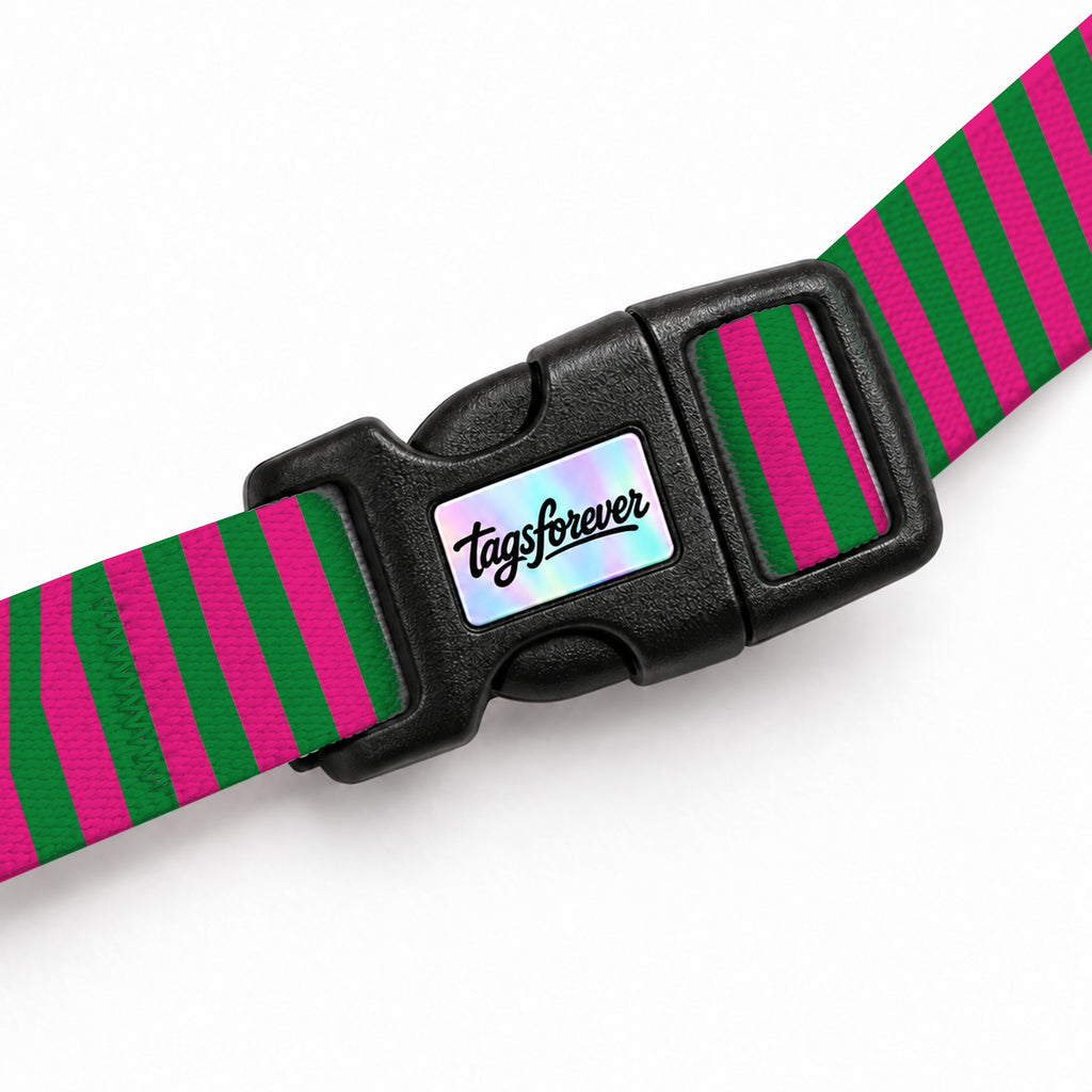 Berry Stripe Kedi Göğüs Tasması – Klips