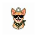 Chico Olive Kedi Köpek İsimlik – Ön yüz