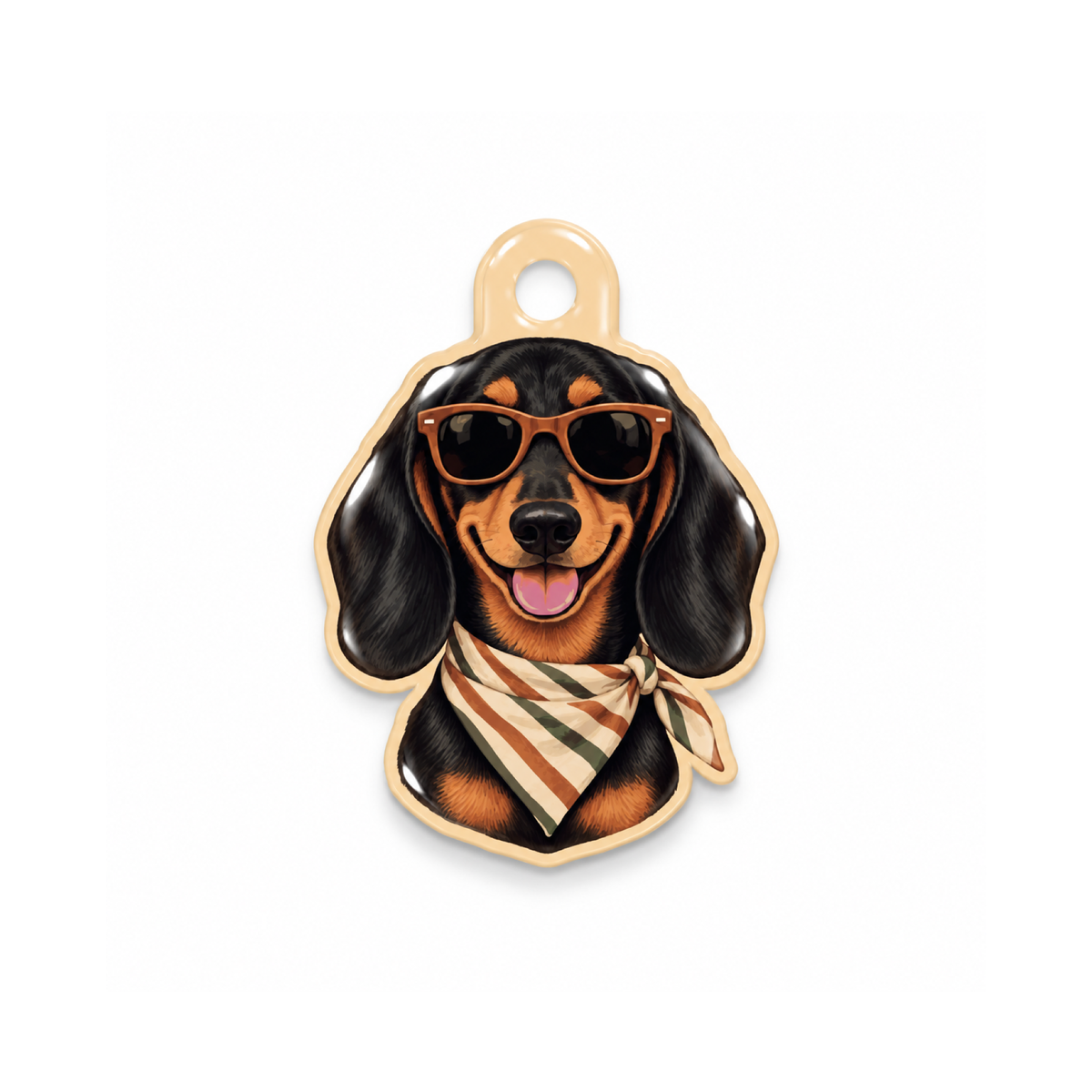 Doksi Stripe Kedi Köpek İsimlik – Ön yüz