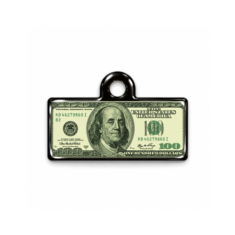 Dollar Pop Kedi Köpek İsimlik – Ön yüz