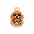 Golden Stripe Kedi Köpek İsimlik – Ön yüz